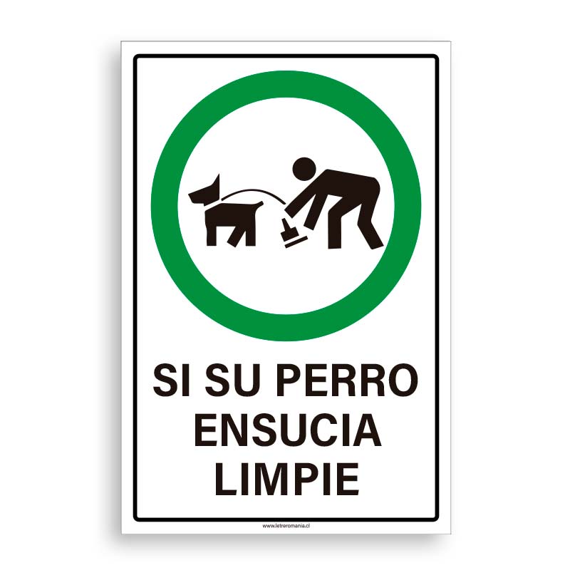 Si su perro ensucia limpie